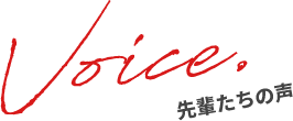 先輩たちの声